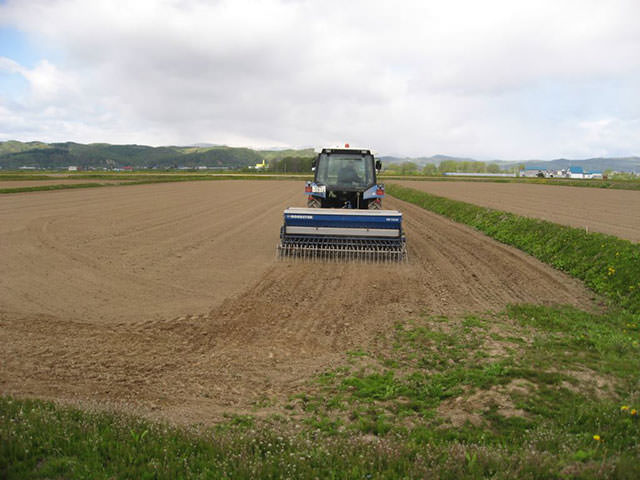 雨竜元気そば播種