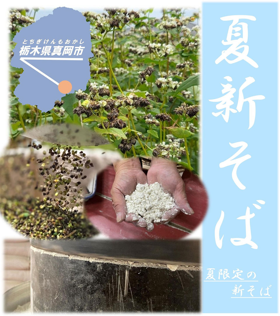2025年夏新そば